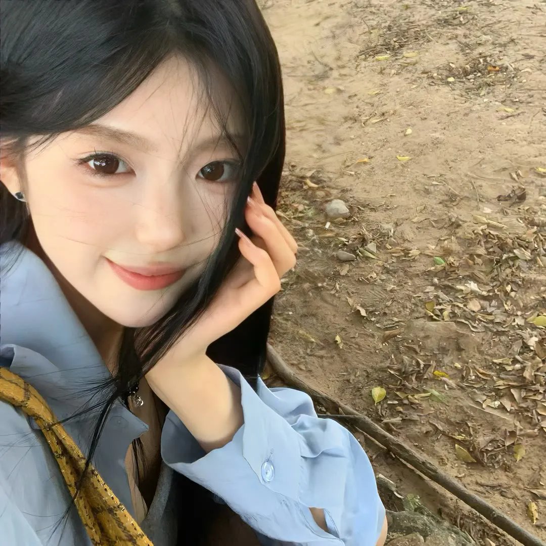 狗狗的疯狂假期